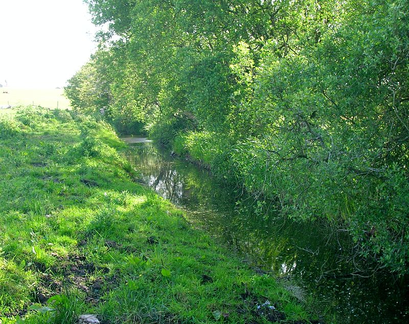 Loch Fergus