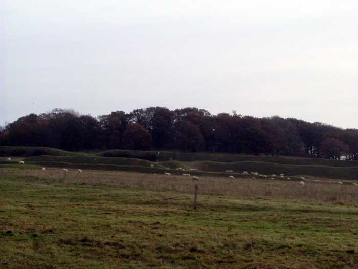 Cranborne Chase