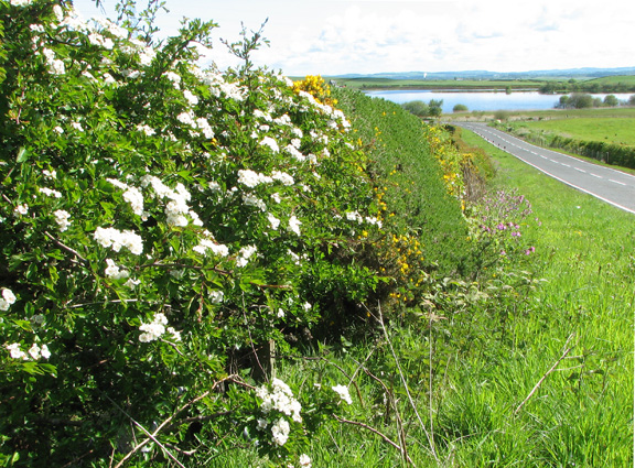 Clyde Muirshiel Regional Park