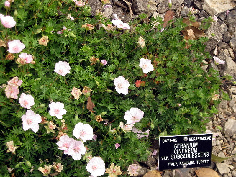 Jardín botánico de la Universidad de Durham