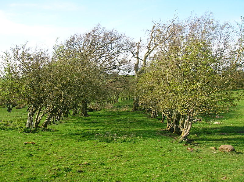 Galrigs Loch