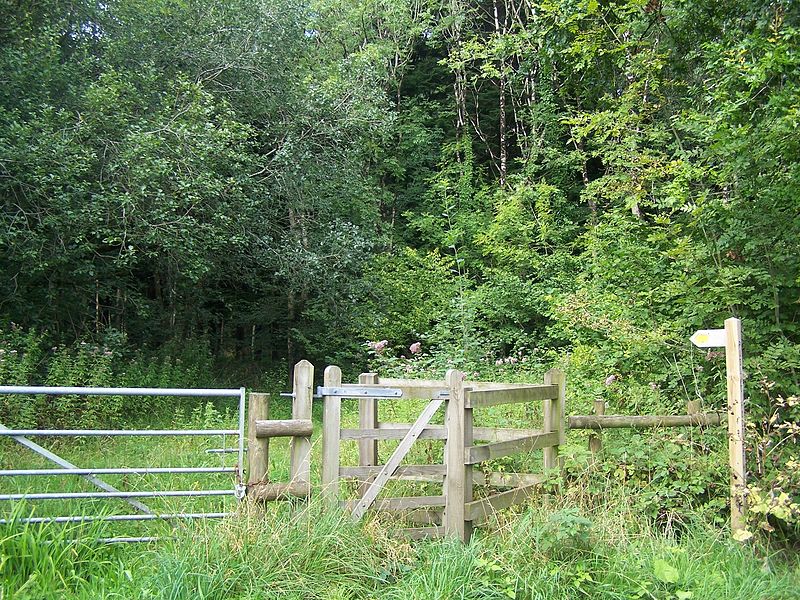 Harridge Wood