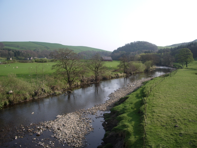 Bowland Forest Low