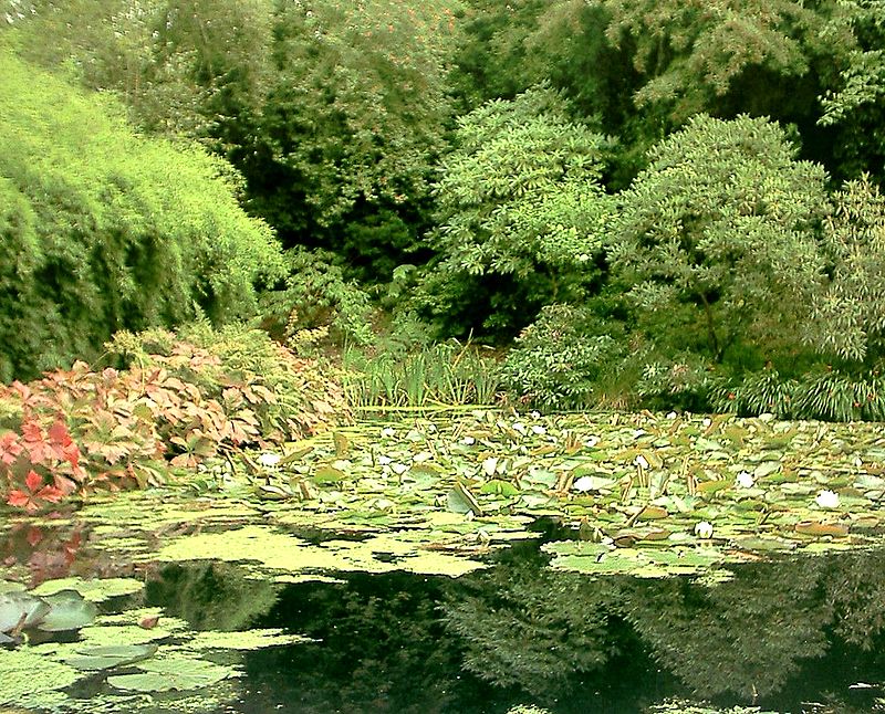 Jardín botánico de Inverewe