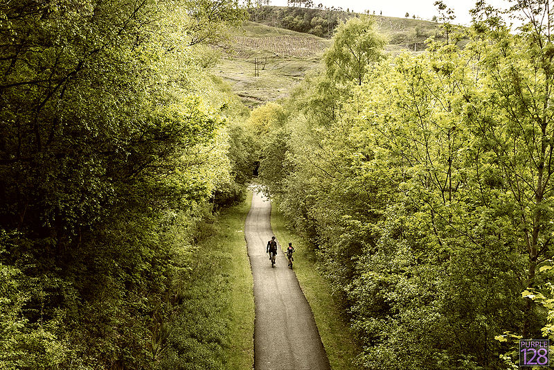 Afan Forest Park