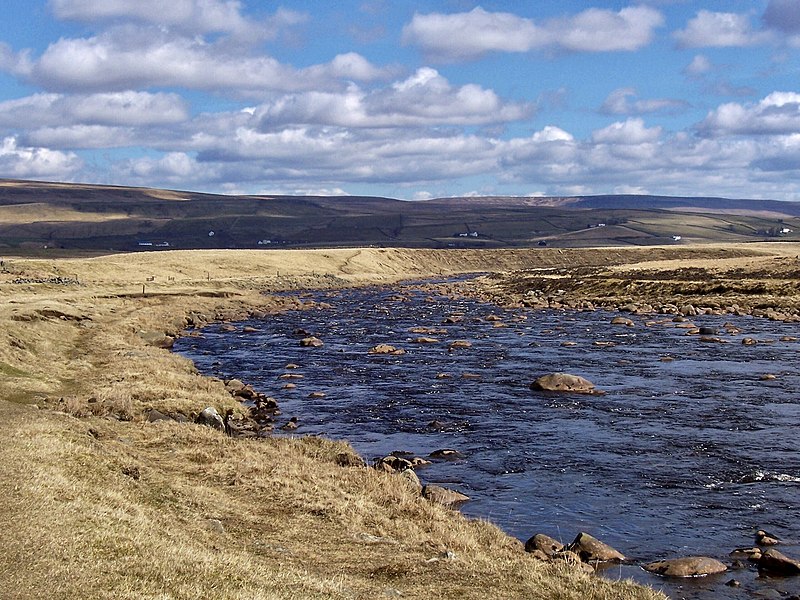 Teesdale