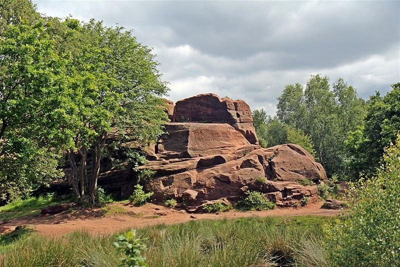 Thurstaston Common