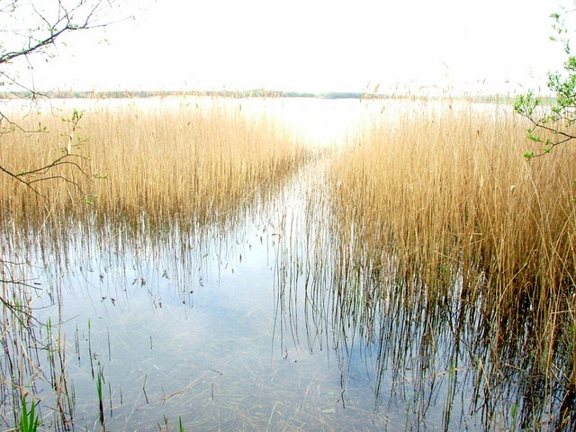 Kenfig Pool