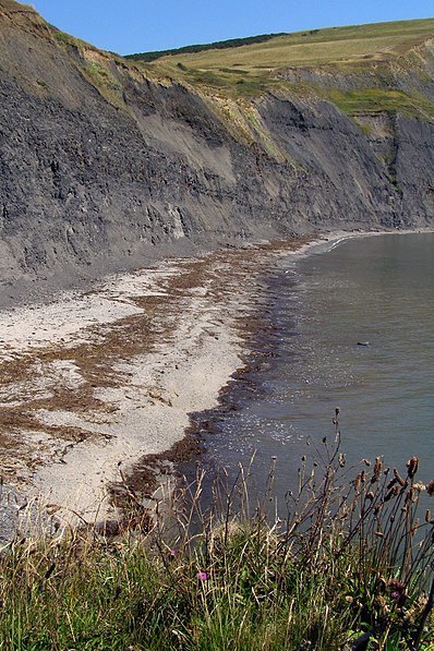 Egmont Bight, Arne RSPB reserve