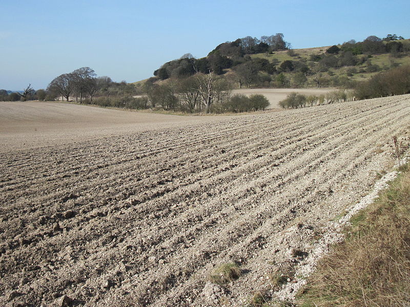 Chilterns