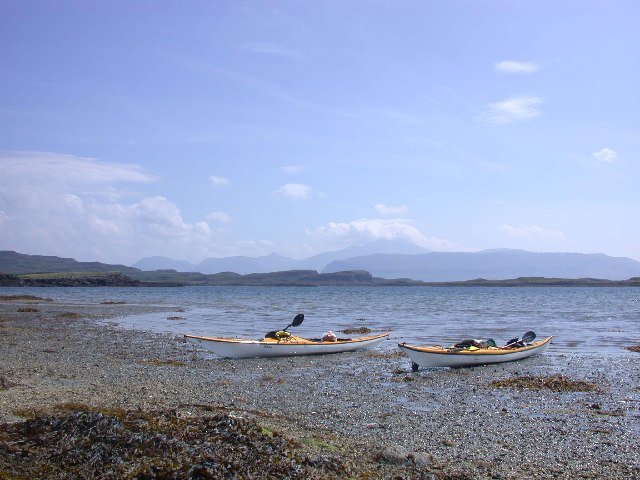 Ulva