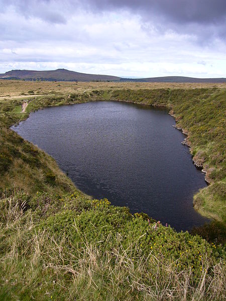 Crazywell Pool