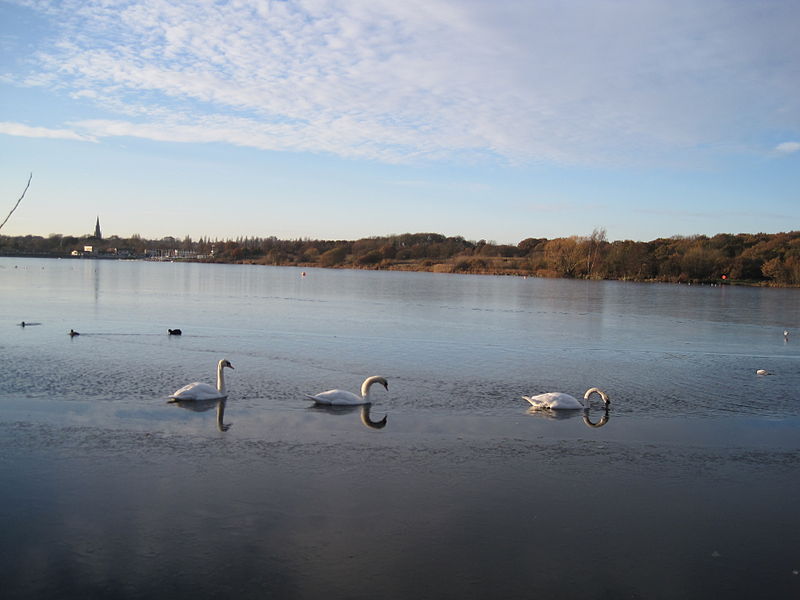 Brent Reservoir