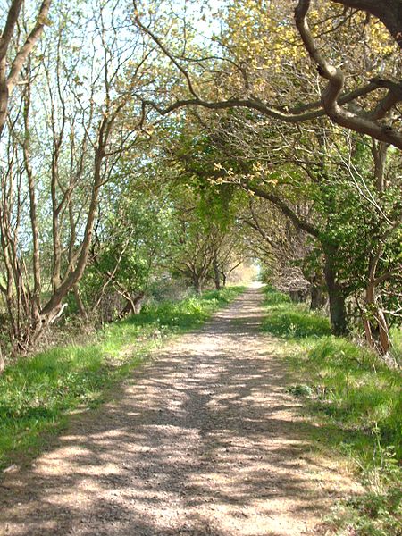 Weavers' Way