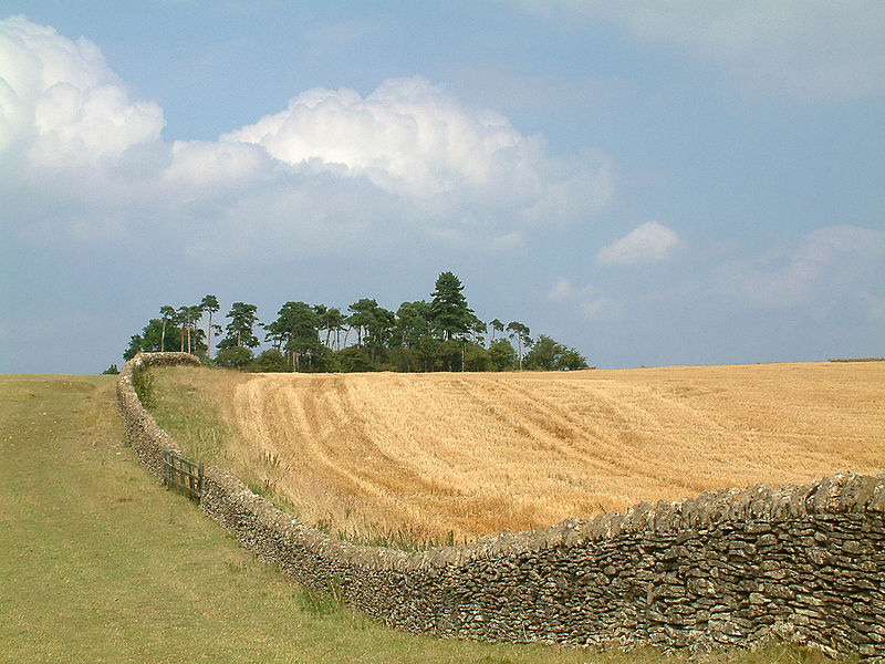 Bredon Hill