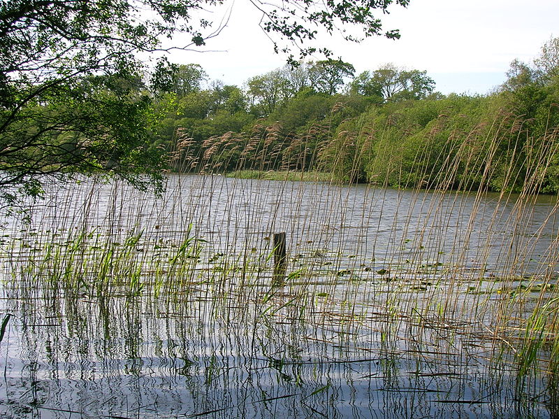 Loch Fergus