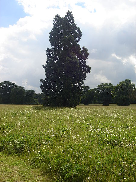 Catton Park