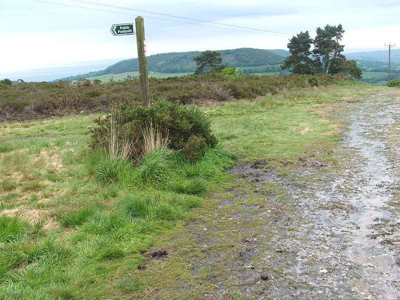 East Devon Way, Beer