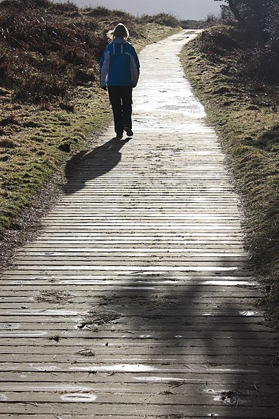 Murlough Nature Reserve