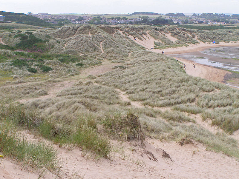 Ythan Estuary