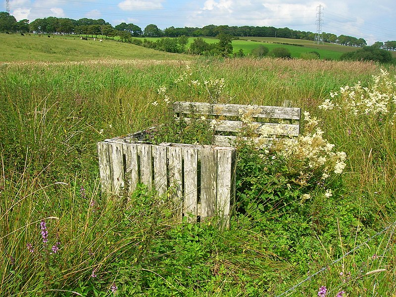 Lochend Loch