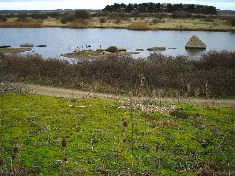 Snettisham RSPB reserve