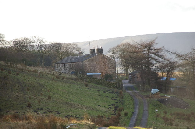 Bowland Forest Low