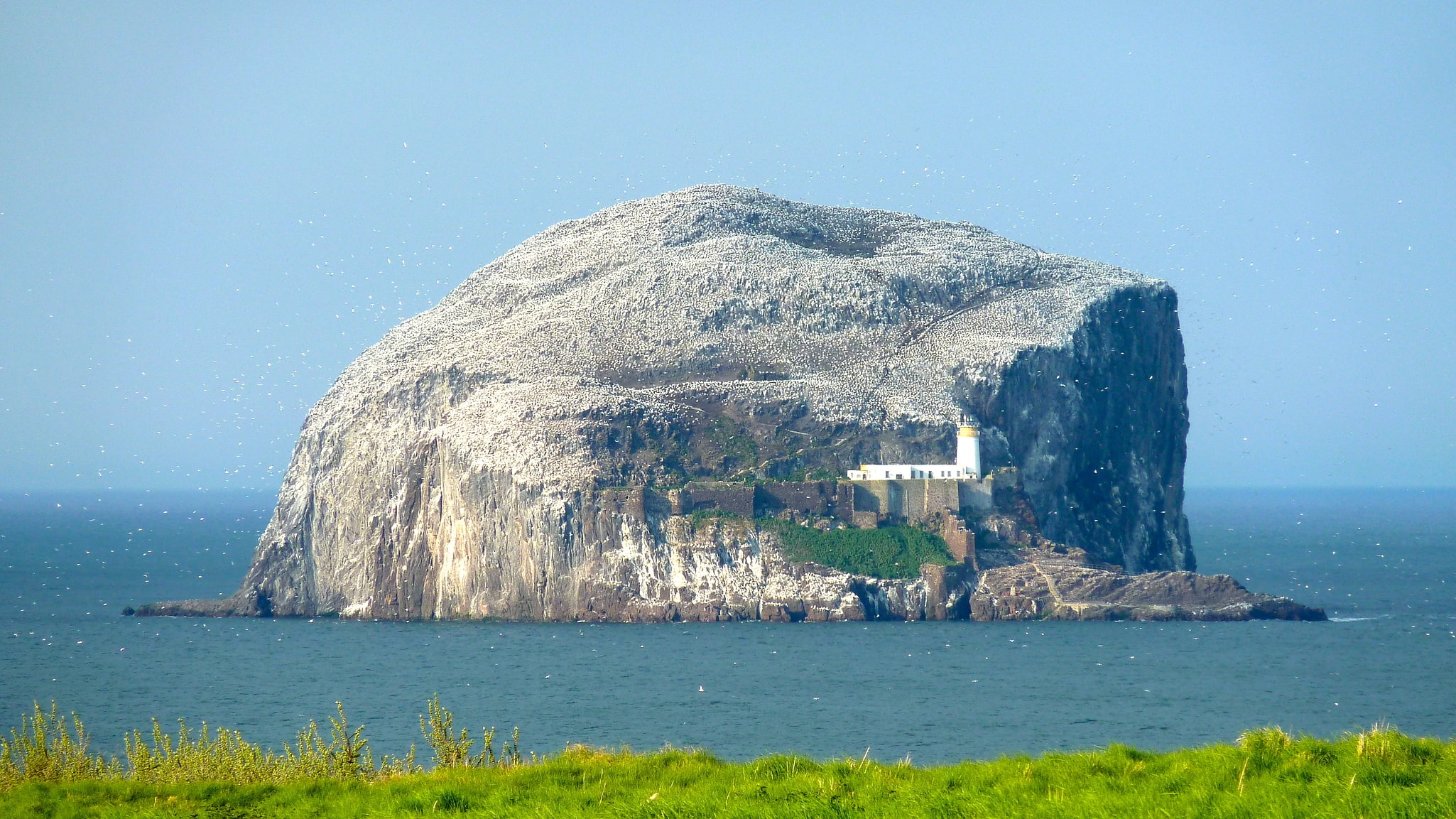 Bass Rock, Grande-Bretagne