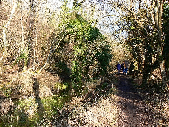 Sapperton Valley, Großbritannien