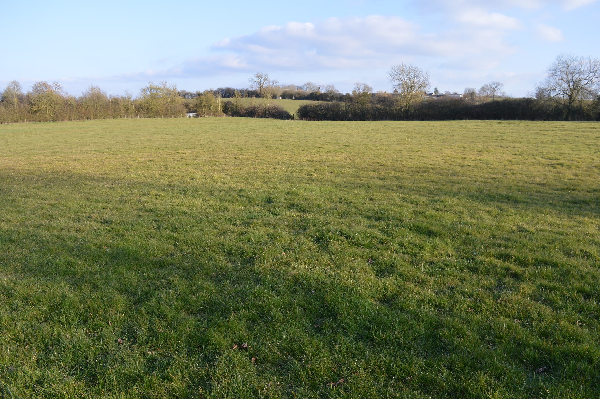 Audrey's Meadow, Großbritannien