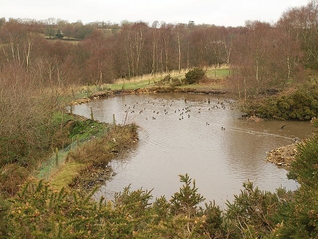 Ringdown SSSI, Gran Bretaña