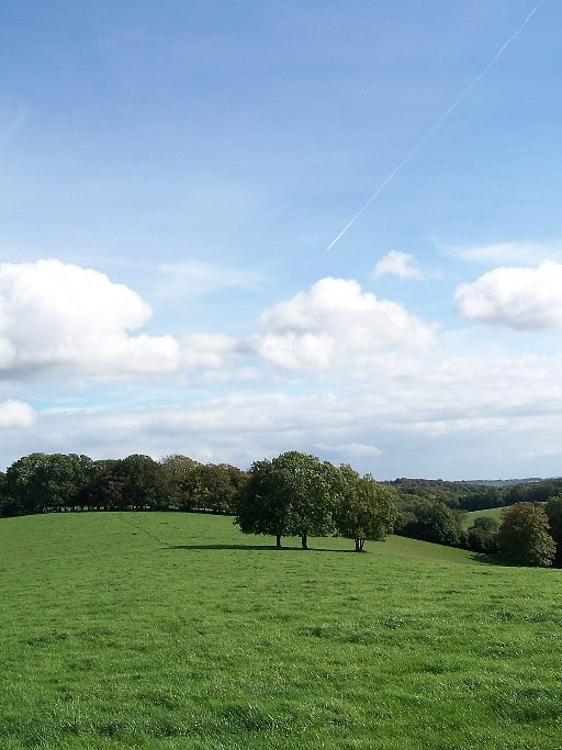 Chiltern Hills, Gran Bretaña