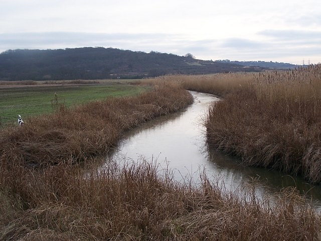 High Halstow NNR, Großbritannien