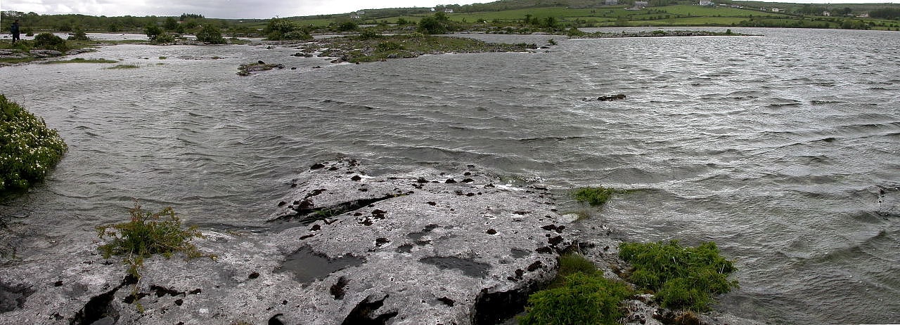 Carmel National Nature Reserve, Gran Bretaña