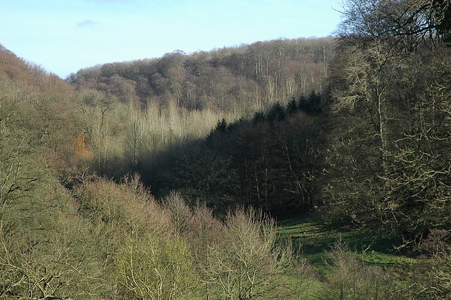 Cotswold Commons and Beechwoods, Wielka Brytania