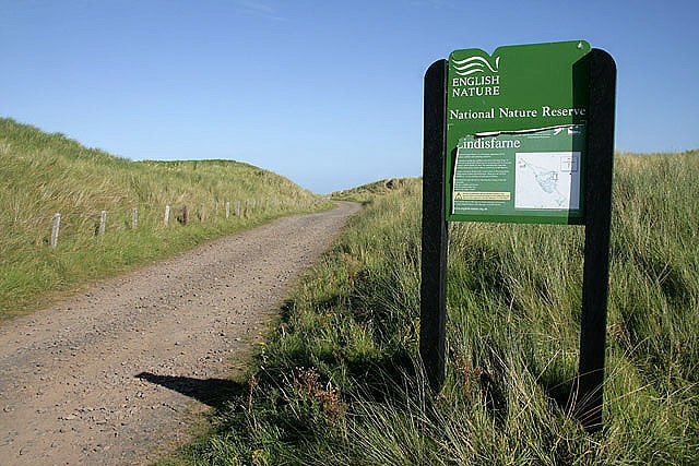 Lindisfarne National Nature Reserve, Gran Bretaña