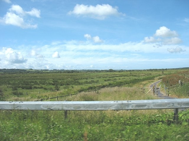 Malltraeth Marsh, Gran Bretaña