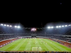 stadion im borisa paiczadze tbilisi