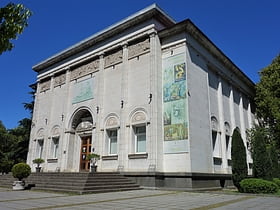 Muzeum Sztuki Adżarii