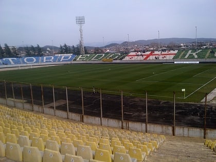 Estadio Ramaz Shengelia