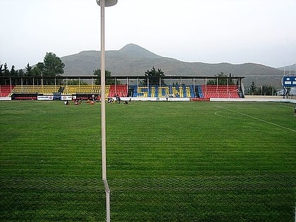 Tamaz Stepania Stadium