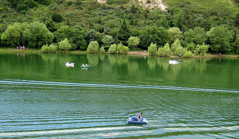 Lago Tortuga