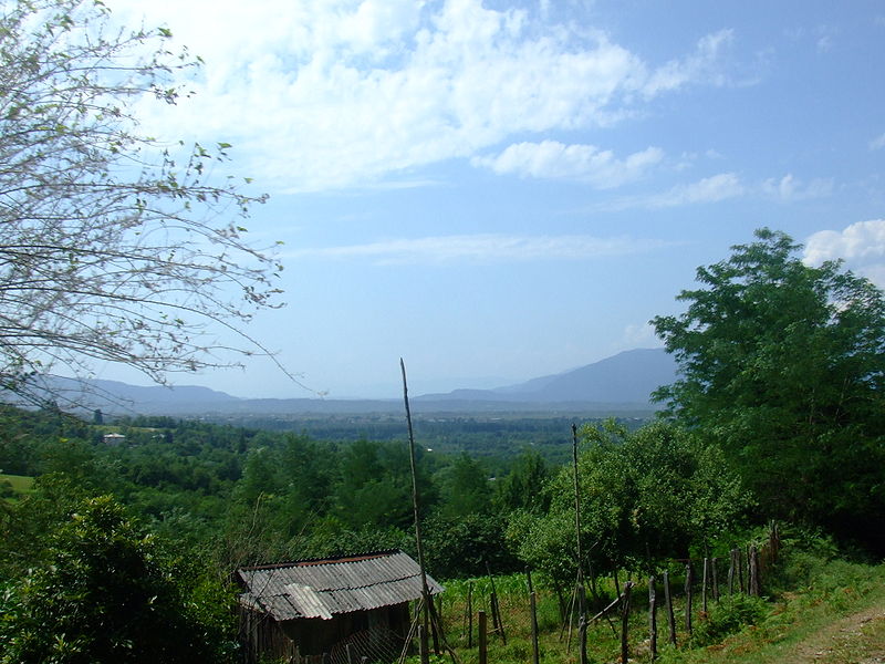 Parque nacional Kolkheti