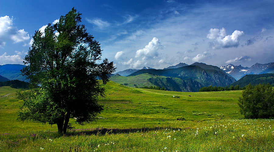 Tusheti Protected Landscape, Gruzja