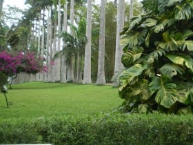 Aburi Botanic Gardens