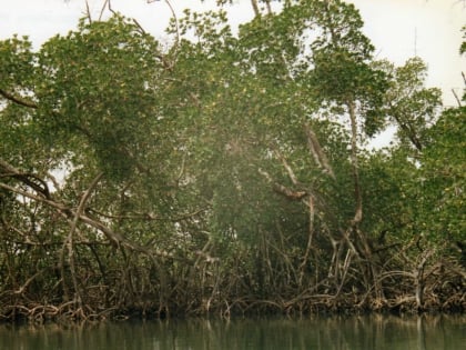 Parque nacional de Niumi