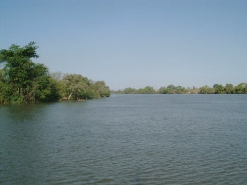 River Gambia National Park, Gambie