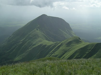 mont nimba reserve naturelle integrale du mont nimba