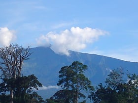 pico basile national park bioko