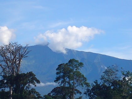 pico basile national park bioko